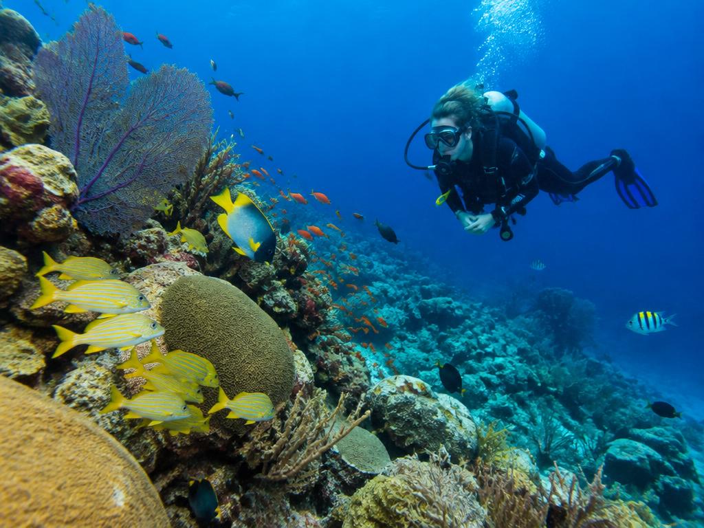 Discover Scuba — First Dive